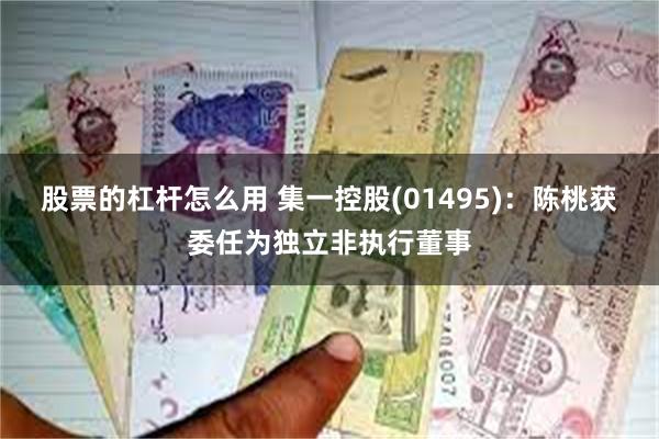 股票的杠杆怎么用 集一控股(01495)：陈桃获委任为独立非执行董事