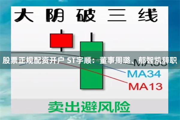 股票正规配资开户 ST宇顺：董事周璐、郁智凯辞职