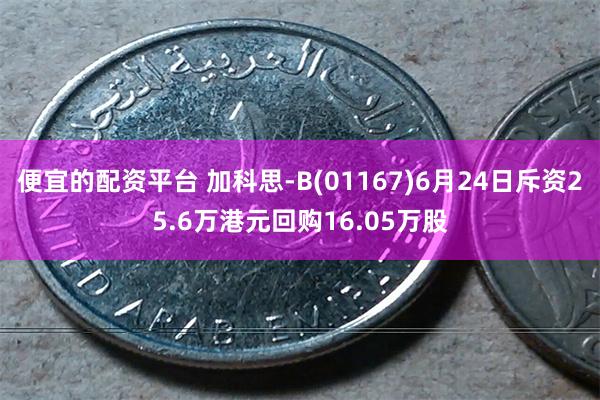 便宜的配资平台 加科思-B(01167)6月24日斥资25.6万港元回购16.05万股