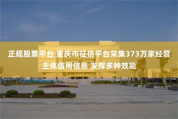 正规股票平台 重庆市征信平台采集373万家经营主体信用信息 发挥多种效能