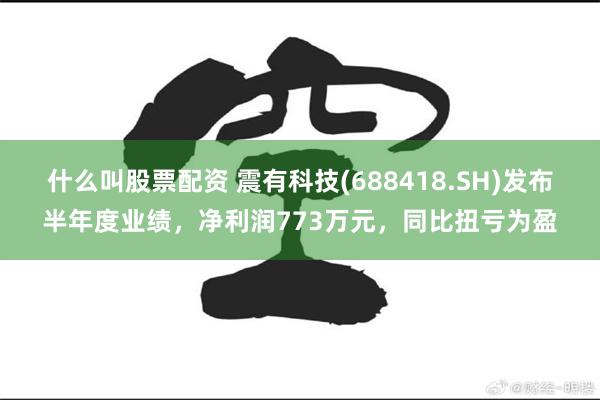 什么叫股票配资 震有科技(688418.SH)发布半年度业绩，净利润773万元，同比扭亏为盈