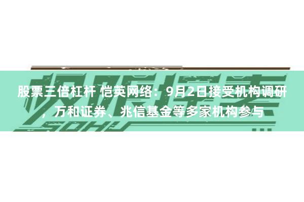 股票三倍杠杆 恺英网络：9月2日接受机构调研，万和证券、兆信基金等多家机构参与