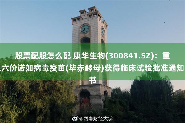 股票配股怎么配 康华生物(300841.SZ)：重组六价诺如病毒疫苗(毕赤酵母)获得临床试验批准通知书