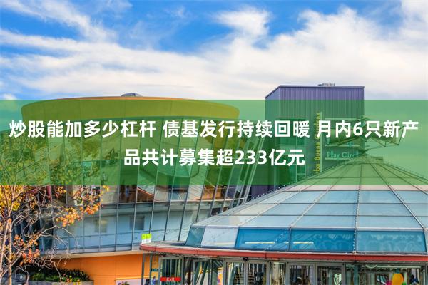 炒股能加多少杠杆 债基发行持续回暖 月内6只新产品共计募集超233亿元