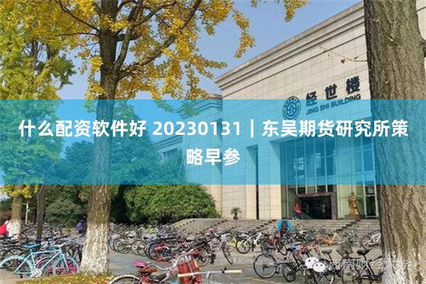 什么配资软件好 20230131｜东吴期货研究所策略早参